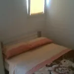 Holidays Svetin